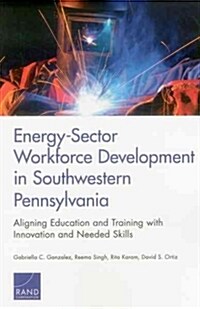 Energy-Sector Workforce Development in Southwestern Pennsylvania: Aligning Education and Training with Innovation and Needed Skills (Paperback)