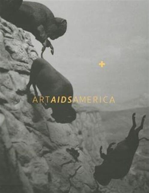 Art AIDS America (Hardcover)