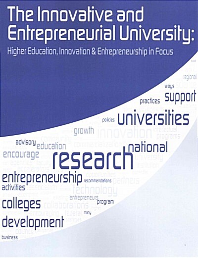 Higher Education, Innovation & Entrepreneurship in Focus (Paperback)