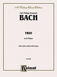 Trio in B Minor (Paperback)