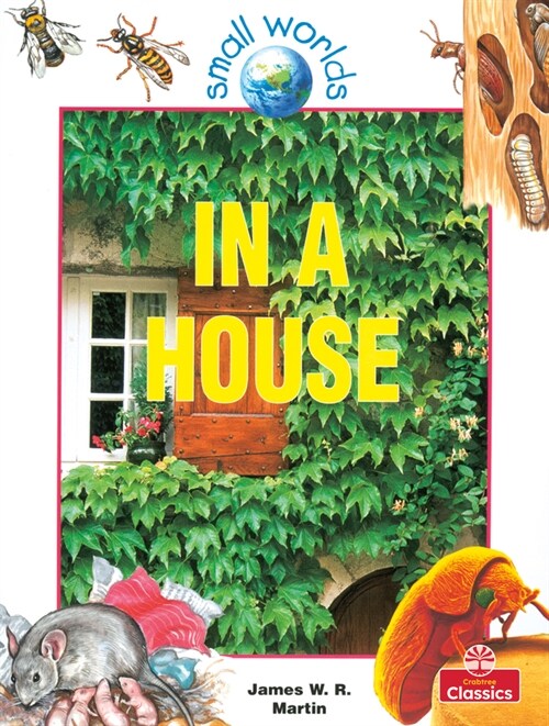 In a House (Hardcover)