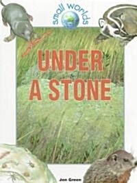 Under a Stone (Paperback)