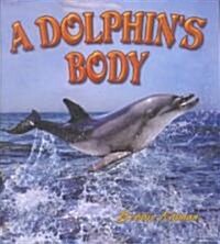 A Dolphins Body (Paperback)