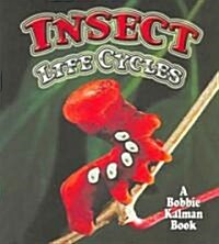 Insect Life Cycles (Paperback)