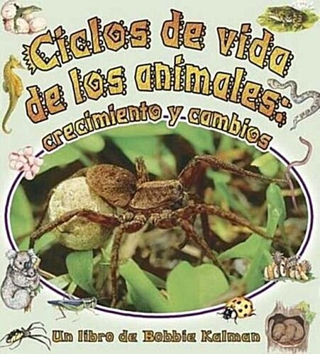 Ciclos De Vida De Los Animales/the Animals Life Cycle (Paperback)