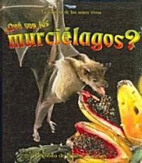 풯u?Son Los Murci?agos? (What Is a Bat?) (Library Binding)