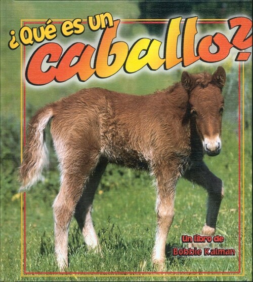 풯u?Es Un Caballo? (What Is a Horse?) (Hardcover)