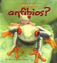 풯u?Son Los Anfibios? (What Is an Amphibian?) (Paperback)
