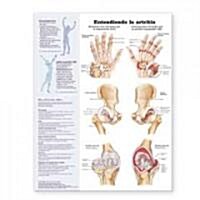 Understanding Arthritis/Entendiendo La Artritis Anatomical Chart (Chart)