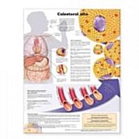 Colesterol alto / High Cholesterol Anatomical Chart (Chart, Wall)