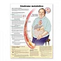 Sindrome metabolico / Metabolic Syndrome Anatomical Chart (Chart, 1st, Wall)