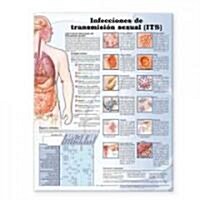 Sexually Transmitted Infections Anatomical Chart in Spanish (Infecciones de Transmision Sexual) (Other)