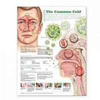 Understanding the Common Cold Anatomical Chart (Other, 2)