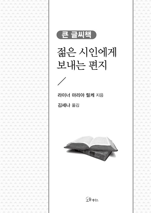 젊은 시인에게 보내는 편지 (큰글씨책)