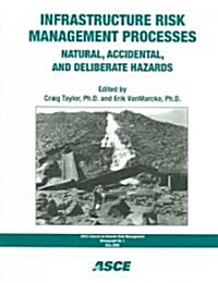 Infrastructure Risk Management Processes (Paperback)