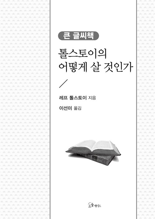 [중고] 톨스토이의 어떻게 살 것인가 (큰글씨책)