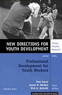 Professional Development for Youth Workers (Paperback)