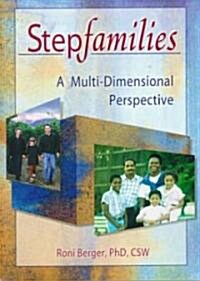 Stepfamilies: A Multi-Dimensional Perspective (Paperback)