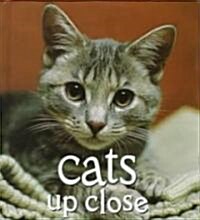 Cats Up Close: The Guide to Vintage Patterns and Clothing (Hardcover)