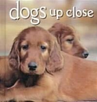 [중고] Dogs Up Close (Paperback)