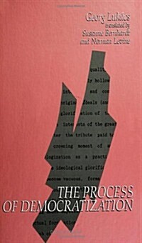 The Process of Democratization (Paperback)