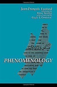 Phenomenology (Paperback)