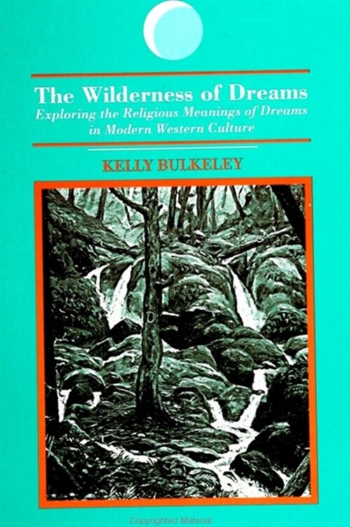 The Wilderness of Dreams: Exploring the Religious Meanings of Dreams in Modern Western Culture (Paperback)
