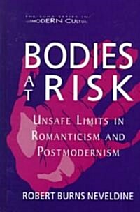 Bodies at Risk: Unsafe Limits in Romanticism and Postmodernism (Hardcover)