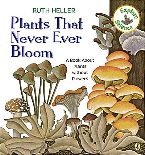 [중고] Plants That Never Ever Bloom: A Book about Plants Without Flowers (Paperback)