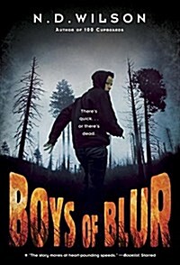 Boys of Blur (Paperback)