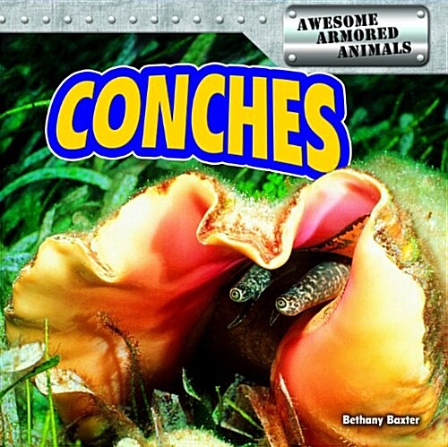 Conches (Library Binding)