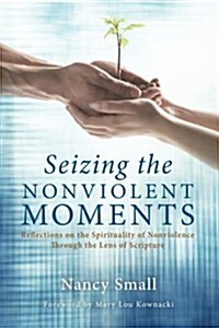 Seizing the Nonviolent Moments (Paperback)