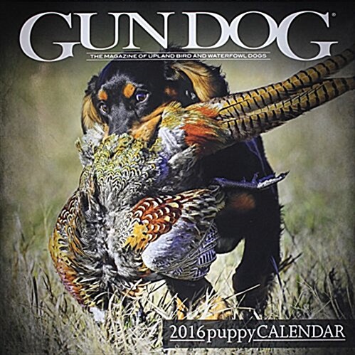 Gun Dog Puppy Calendar (Wall, 2016)