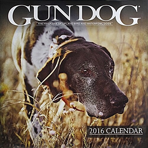 Gun Dog Calendar (Wall, 2016)