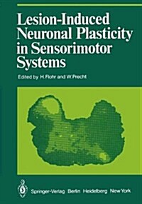 Lesion-Induced Neuronal Plasticity in Sensorimotor Systems (Hardcover)