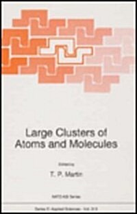 Large Clusters of Atoms and Molecules (Hardcover)