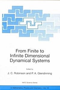 From Finite to Infinite Dimensional Dynamical Systems (Paperback)