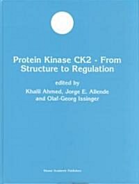 Protein Kinase Ck2 -- From Structure to Regulation (Hardcover)