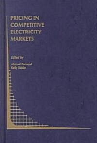 Pricing in Competitive Electricity Markets (Hardcover, 2000)