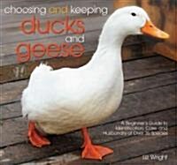 Choosing and Keeping Ducks and Geese: A Beginners Guide to Identification, Care, and Husbandry of Over 35 Species (Paperback)