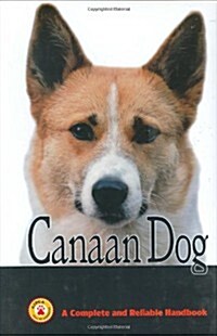 Canaan Dog (Hardcover)