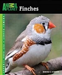 Finches (Paperback)