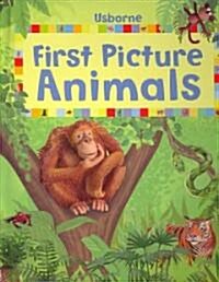 First Picture Animals (Board Book)