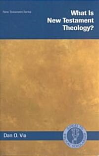 What Is New Testament Theology? (Paperback)