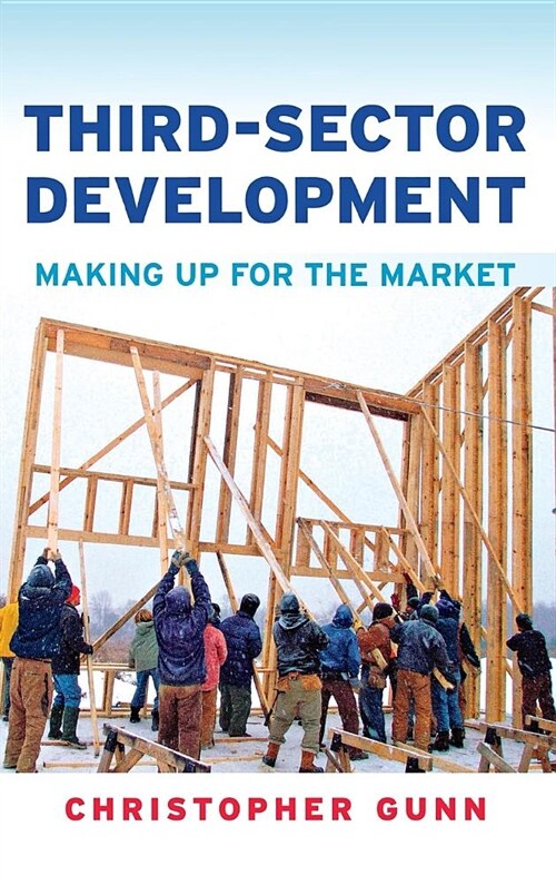 Third-Sector Development: Making Up for the Market (Hardcover)