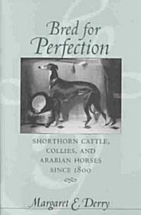 Bred for Perfection: Shorthorn Cattle, Collies, and Arabian Horses Since 1800 (Hardcover)