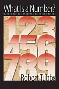 What Is a Number?: Mathematical Concepts and Their Origins (Paperback)