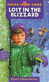 Lost in the Blizzard: Volume 17 (Paperback, Rev)