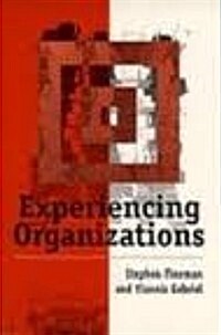 Experiencing Organizations (Hardcover)