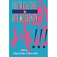 Youth Culture in Late Modernity (Hardcover)